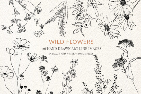 Download Wild Flowers Fine Line Clipart Hand Draw - Premium Bundle