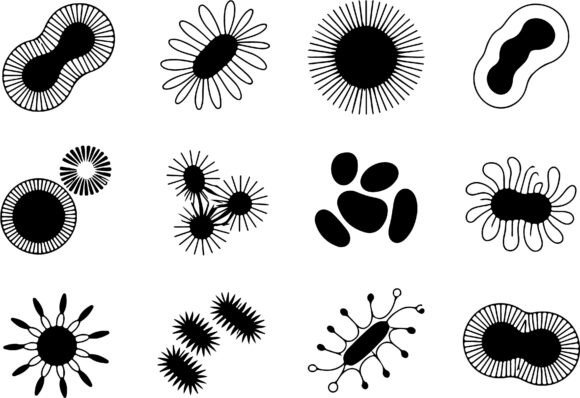 Download Abstract Organic Shapes Clipart Vector - Organic Collection